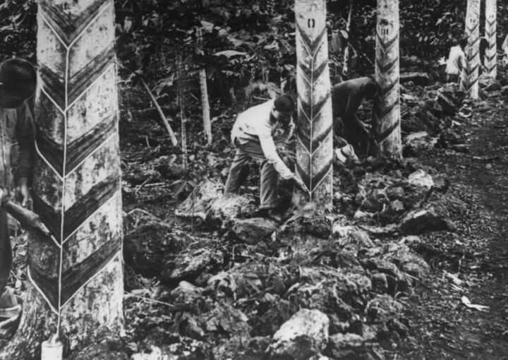 Kauçuk Tarihi 9 Kauçuk Tarihi